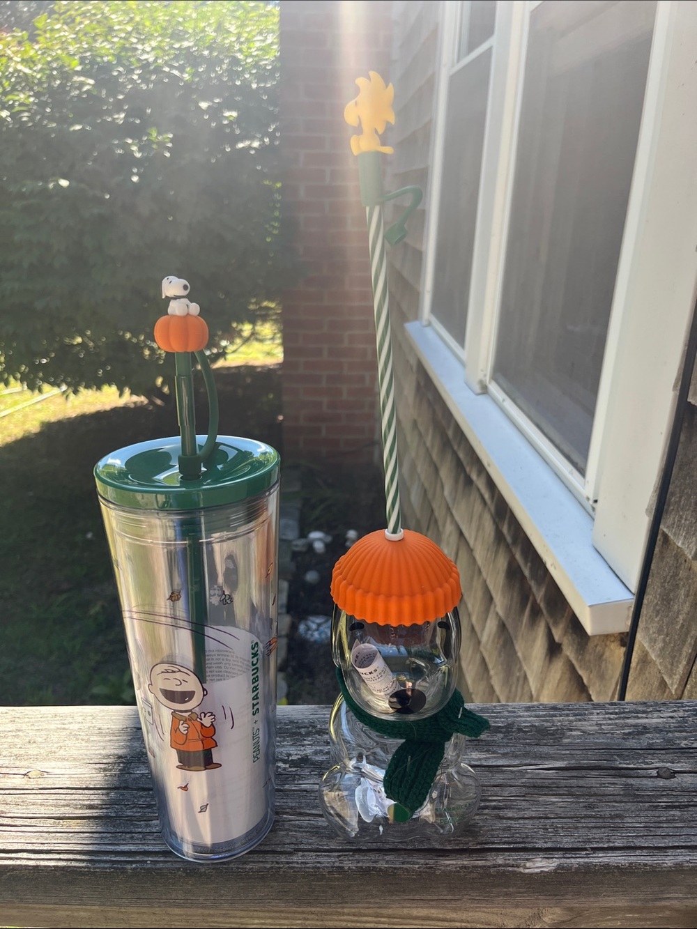 Starbucks Clear Snoopy Drinkware Set with Green and Orange Accents